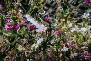 Bronx personal injury attorney